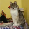 Отзыв от Олеся Колесникова